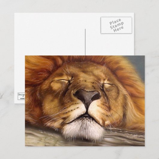 Carte Postale Lion dormant (Devant / Derrière)