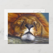 Carte Postale Lion dormant (Devant / Derrière)