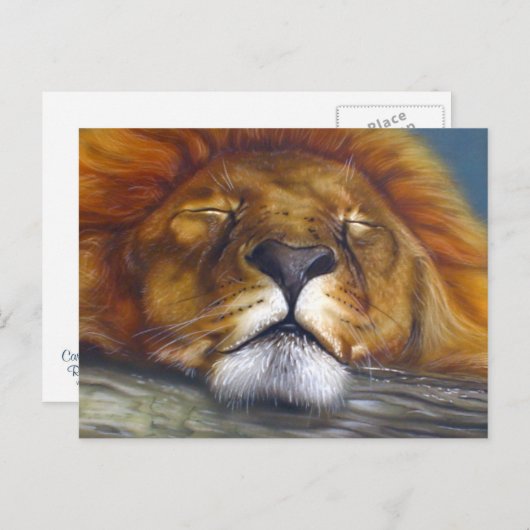 Carte Postale Lion dormant (Devant / Derrière)