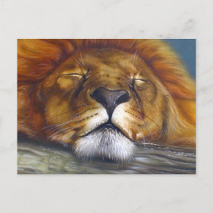 Carte Postale Lion dormant