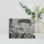Carte postale Lion en pleurs (Debout devant)