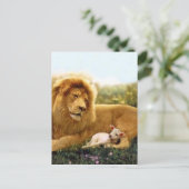 Carte Postale Lion et agneau (Debout devant)