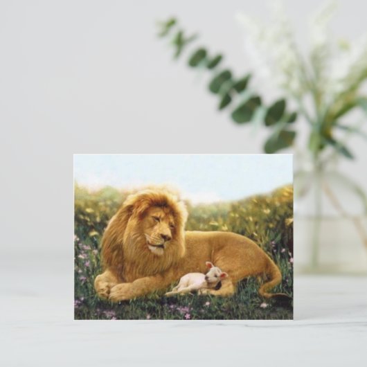 Carte Postale Lion et agneau (Debout devant)