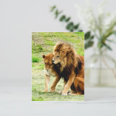 Carte Postale lion et lionne maman amour (Debout devant)