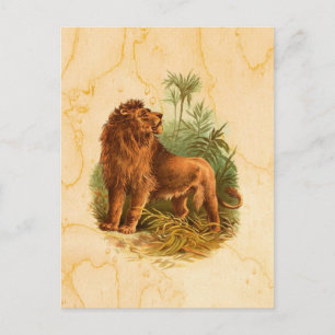 Carte Postale Lion et palmiers Vintages
