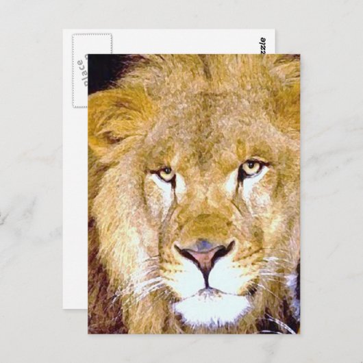Carte Postale Lion Eyes (Devant / Derrière)