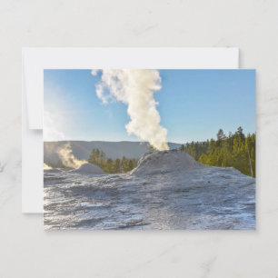 Carte Postale Lion Geyser, parc national de Yellowstone, wyoming