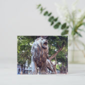 Carte Postale lion havana (Debout devant)