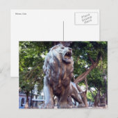 Carte Postale lion havana (Devant / Derrière)