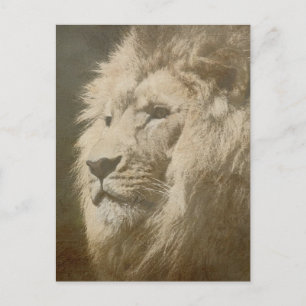 Carte Postale Lion Head The King Modern Pop Art Modèle Animal
