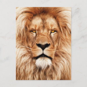 Carte Postale Lion Le Roi Photo Peinture