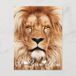 Carte Postale Lion Le Roi Photo Peinture Je T'Aime