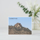 Carte Postale lion lesotho (Debout devant)