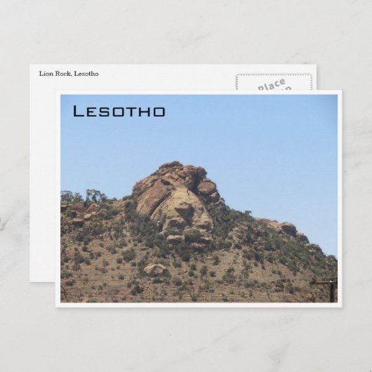 Carte Postale lion lesotho (Devant / Derrière)