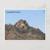 Carte Postale lion lesotho (Devant)