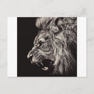 Carte Postale Lion mâle en colère