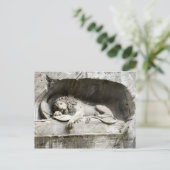 Carte Postale Lion Monument, Lucerne (Debout devant)