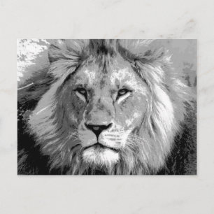 Carte Postale Lion noir blanc