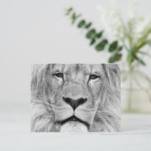Carte Postale Lion noir et blanc (Debout devant)