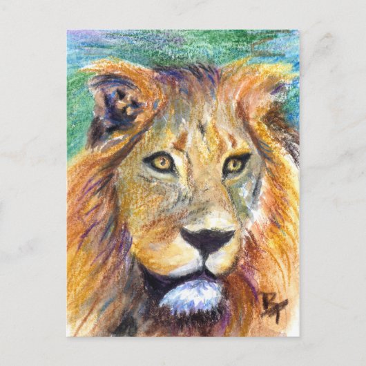 Carte postale Lion Portrait ACEO (Devant)