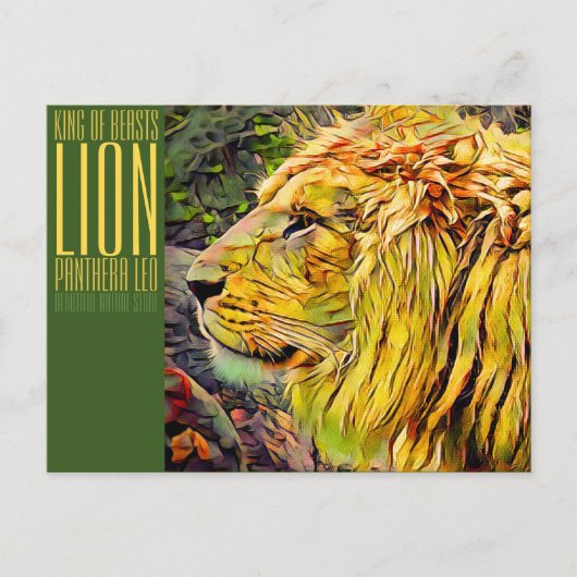 Carte Postale Lion [Postcard] (Devant)