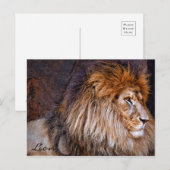 Carte Postale Lion [Postcard] ポ ♥ ー ド (Devant / Derrière)