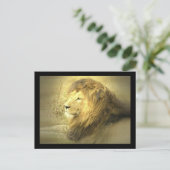 Carte postale Lion Pride (Debout devant)