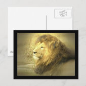 Carte postale Lion Pride (Devant / Derrière)