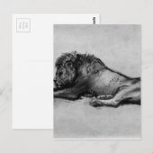 Carte Postale Lion reposant par Rembrandt (Devant / Derrière)