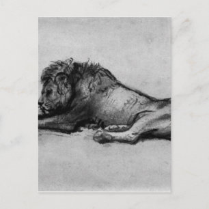 Carte Postale Lion reposant par Rembrandt