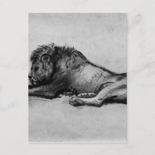 Carte Postale Lion reposant par Rembrandt (Devant)