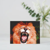 Carte Postale Lion Roaring (Debout devant)
