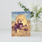 Carte Postale Lion sauvage (Debout devant)