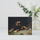 Carte Postale Lion Snapping à un papillon (Debout devant)