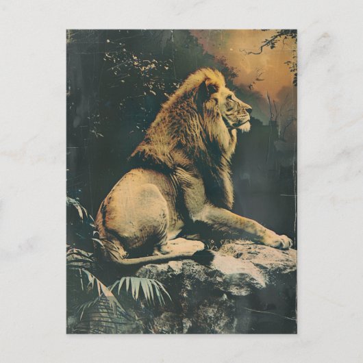 Carte Postale Lion vintage (Devant)