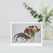 Carte Postale Lionel le Chat et les Roses - Art (Debout devant)