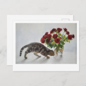 Carte Postale Lionel le Chat et les Roses - Art (Devant / Derrière)