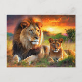 Carte Postale Lionne avec son petit (Devant)