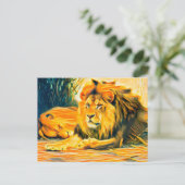 Carte Postale Lions au repos (Debout devant)