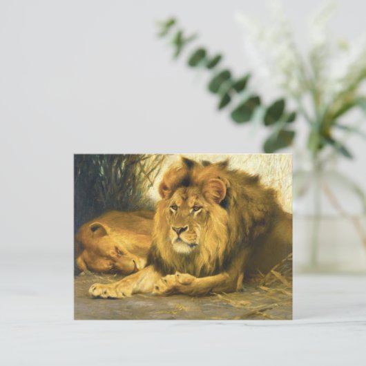 Carte Postale Lions au repos par Wilhelm Kuhnert (Debout devant)