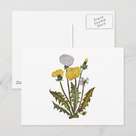 Carte Postale Lions Dandy Dorés Brodés (Devant / Derrière)