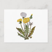 Carte Postale Lions Dandy Dorés Brodés (Devant)