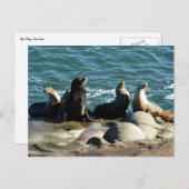 Carte Postale Lions de la mer de San Diego (Devant / Derrière)