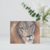 Carte Postale Lion's Eyes (Debout devant)