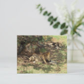Carte Postale Lions Lazy (Debout devant)