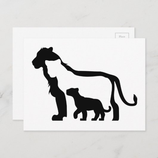 Carte Postale Lions noirs et blancs (Devant / Derrière)