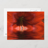 Carte Postale Liquide Rouge (Devant / Derrière)