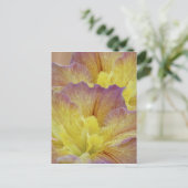 Carte Postale L'iris jaune et sa signification (Debout devant)