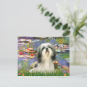 Carte Postale Lis (#2) - Shih Tzu #3 (Debout devant)