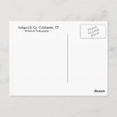 Carte Postale Lis Cie. d'indigo (Dos)